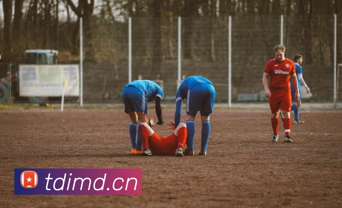 开云手机在线登陆入口发展历程